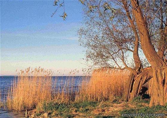 Alago Hotel Am See Cambs Dış mekan fotoğraf
